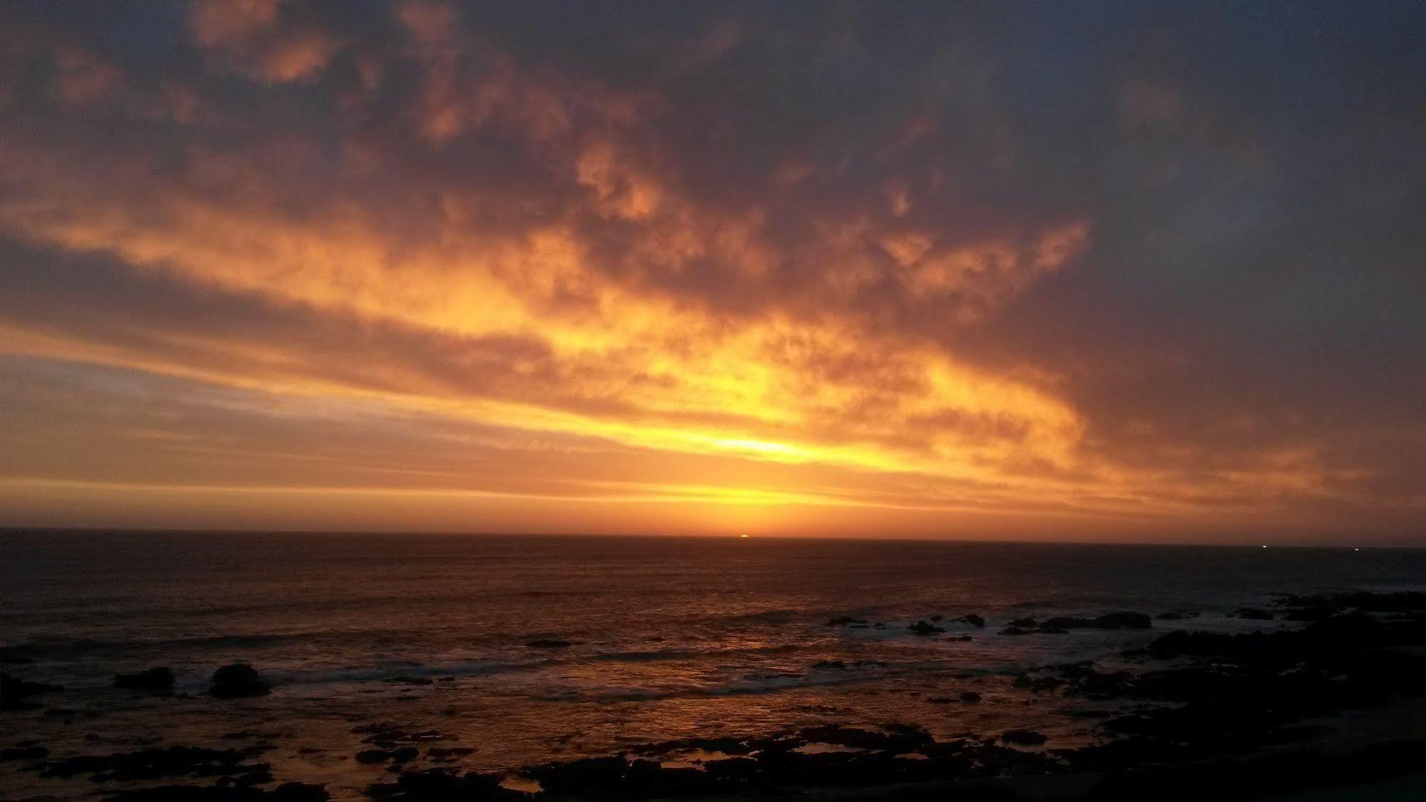 Murphys Port Elizabeth Buitenkant foto